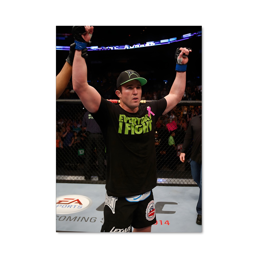 Poster Chael de sonnen